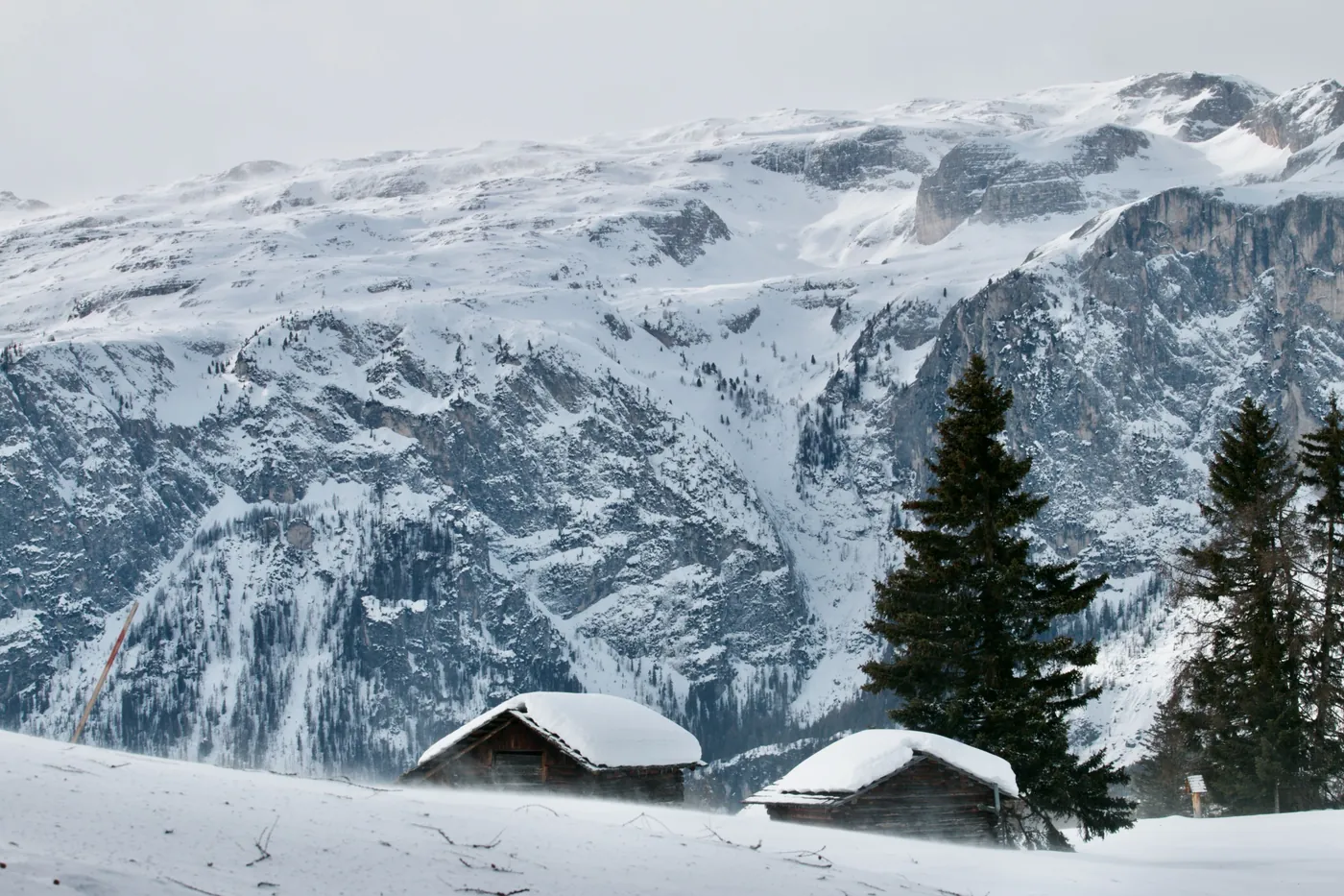 The Larch Chalet — 1