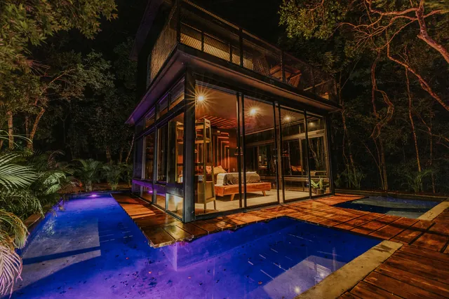 The Rainforest House — 4