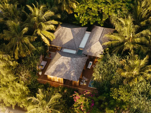 The Rainforest House — 2