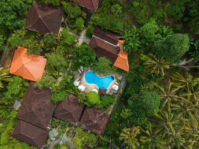 Hidden cenote swim tour